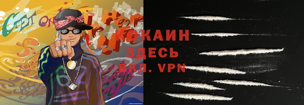 крисы Надым