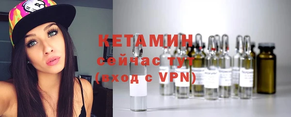 гидра Ельня