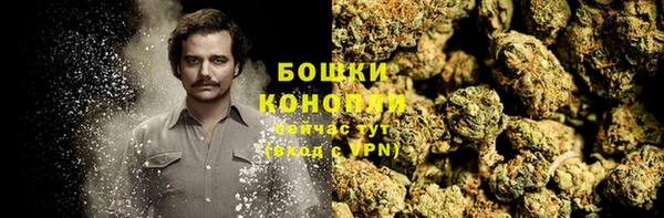 крисы Надым