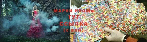 крисы Надым
