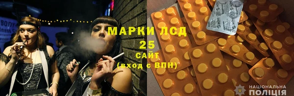 крисы Надым